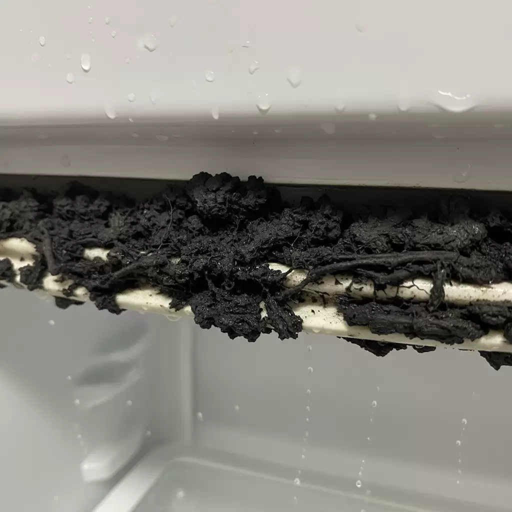 Dấu hiệu ron tủ lạnh bị nấm mốc và lão hóa cần thay thế ngay lập tức