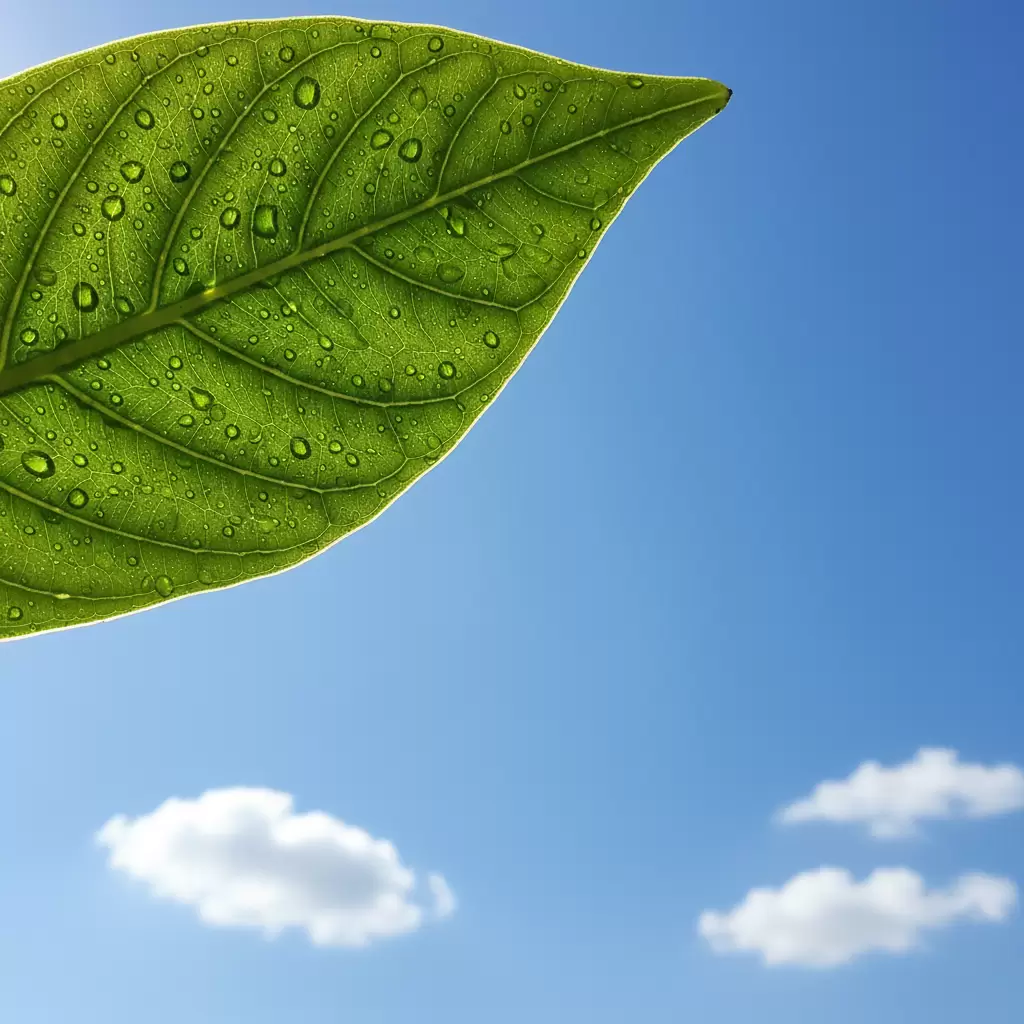 Sử dụng gas R32 góp phần quan trọng vào việc bảo vệ tầng ozone và giảm thiểu biến đổi khí hậu